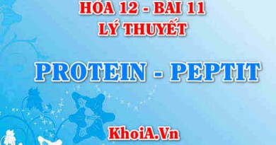Peptit là gì? Protein là gì? tính chất hoá học, công thức cấu tạo của Peptit và Protein - Hoá 12 bài 11